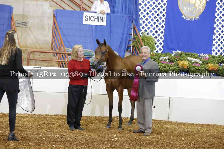 Proof 15R12_03389