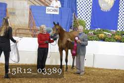 15R12_03389 proof