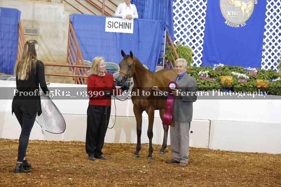 Proof 15R12_03390