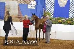 15R12_03390 proof