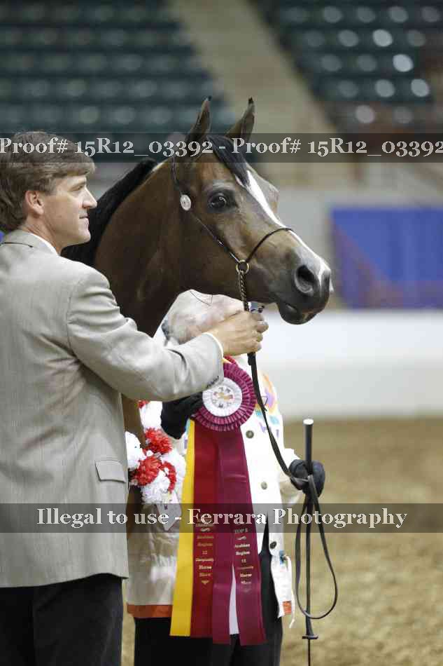 Proof 15R12_03392