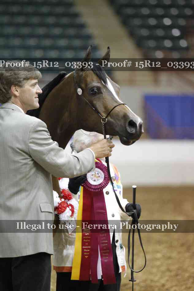 Proof 15R12_03393
