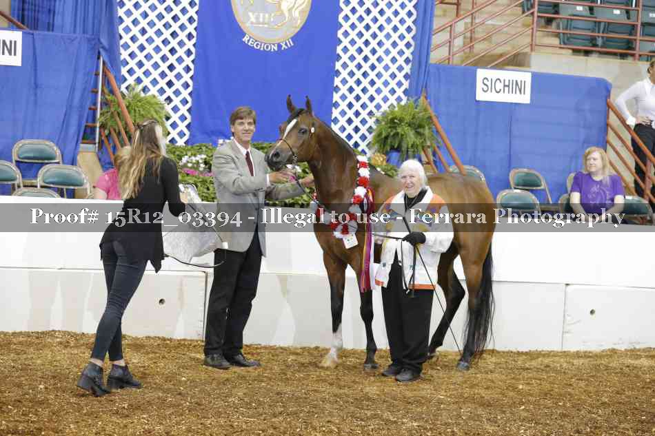 Proof 15R12_03394