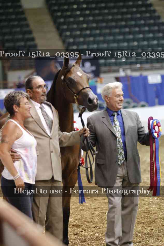 Proof 15R12_03395