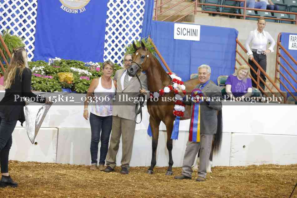 Proof 15R12_03396