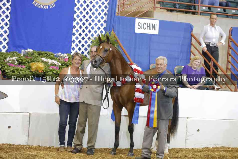 Proof 15R12_03397