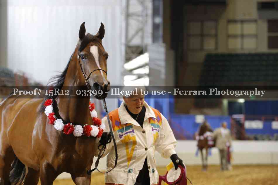 Proof 15R12_03399