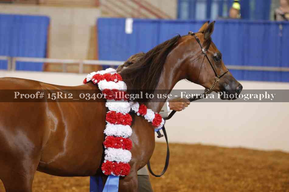 Proof 15R12_03401