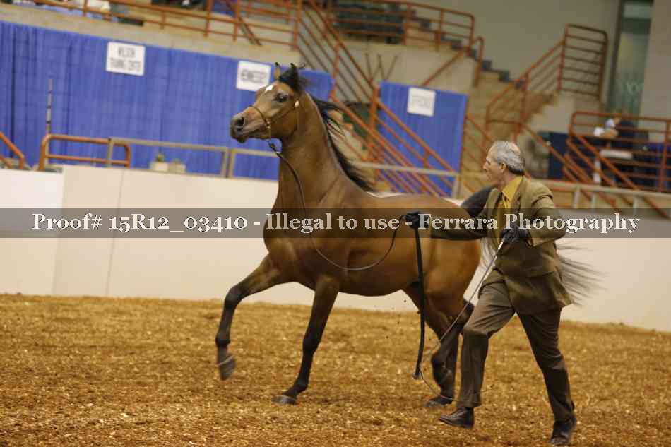 Proof 15R12_03410