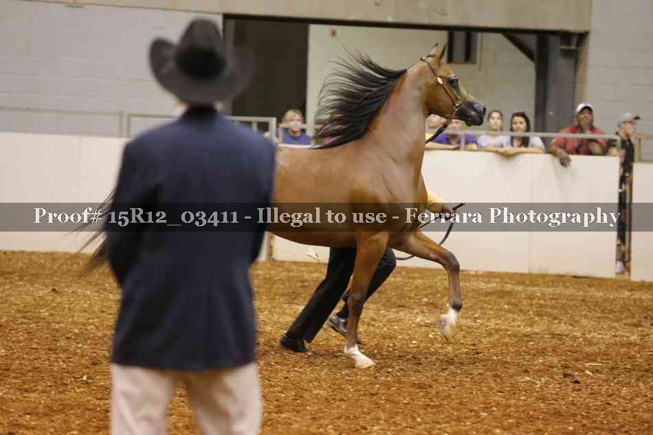 Proof 15R12_03411