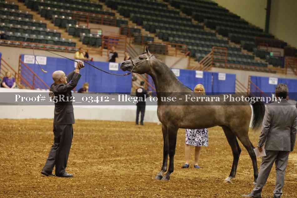Proof 15R12_03412