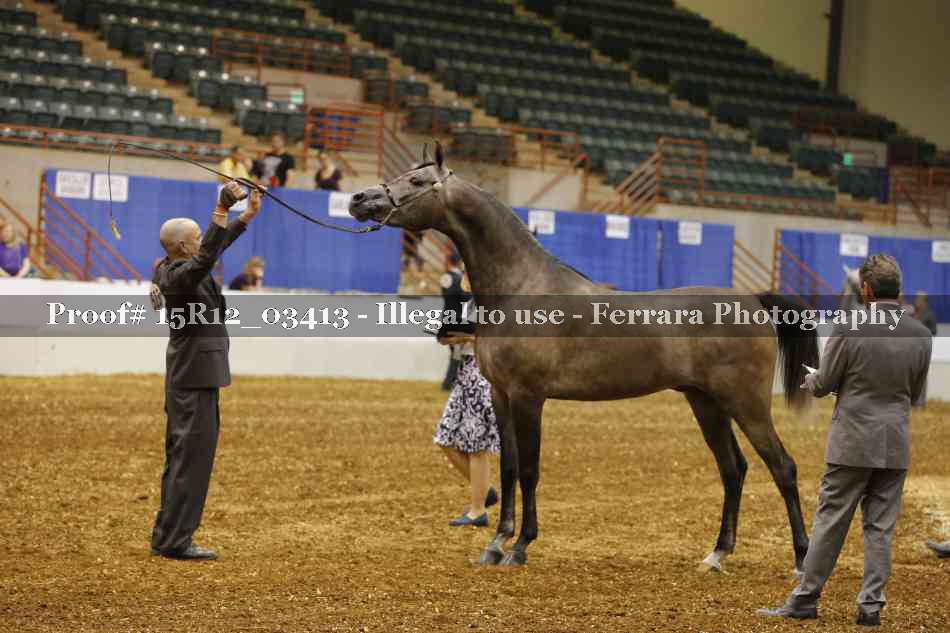 Proof 15R12_03413