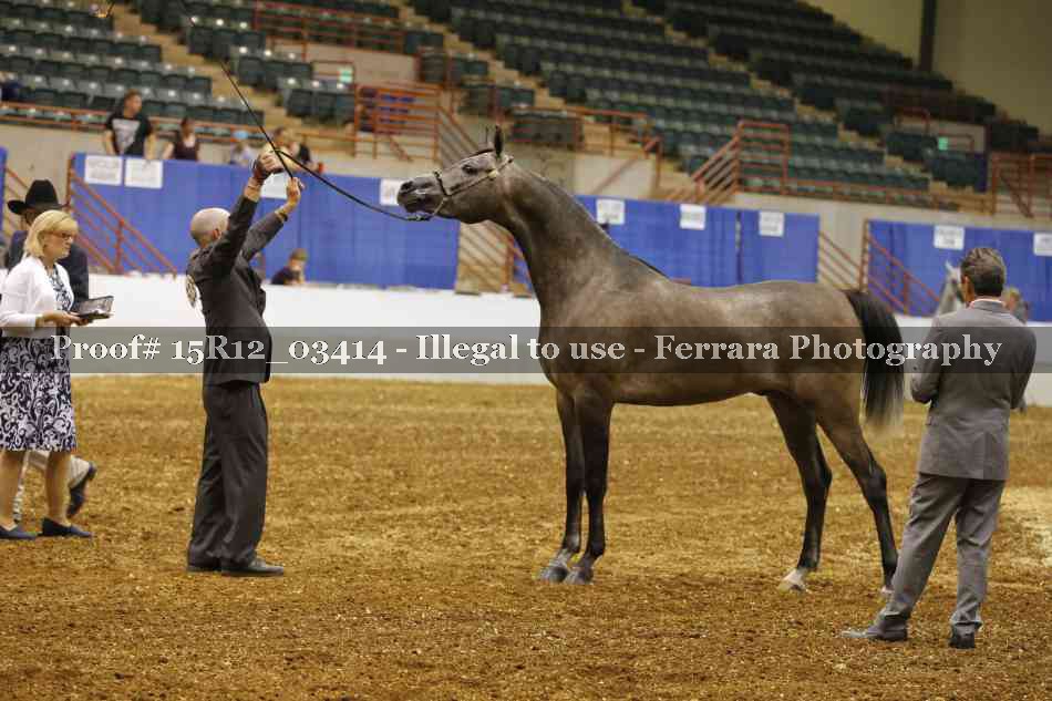 Proof 15R12_03414