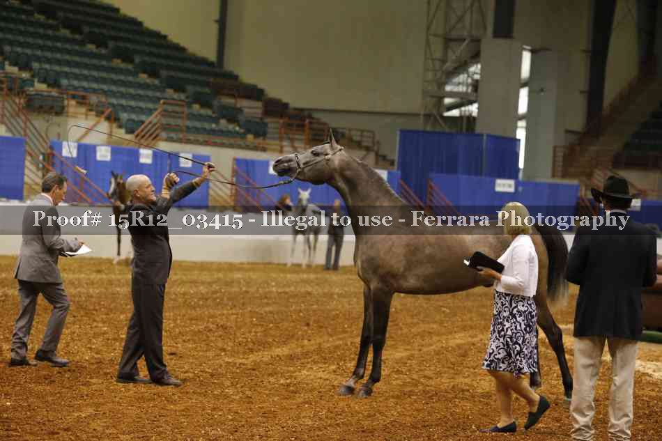 Proof 15R12_03415