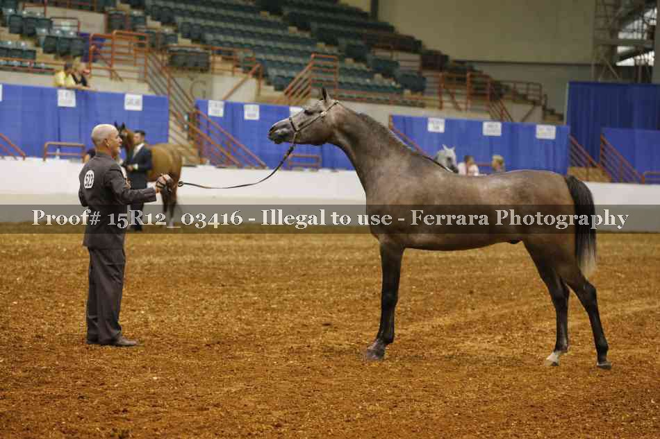 Proof 15R12_03416