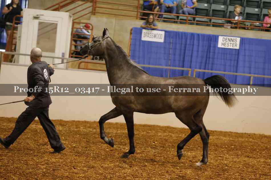 Proof 15R12_03417