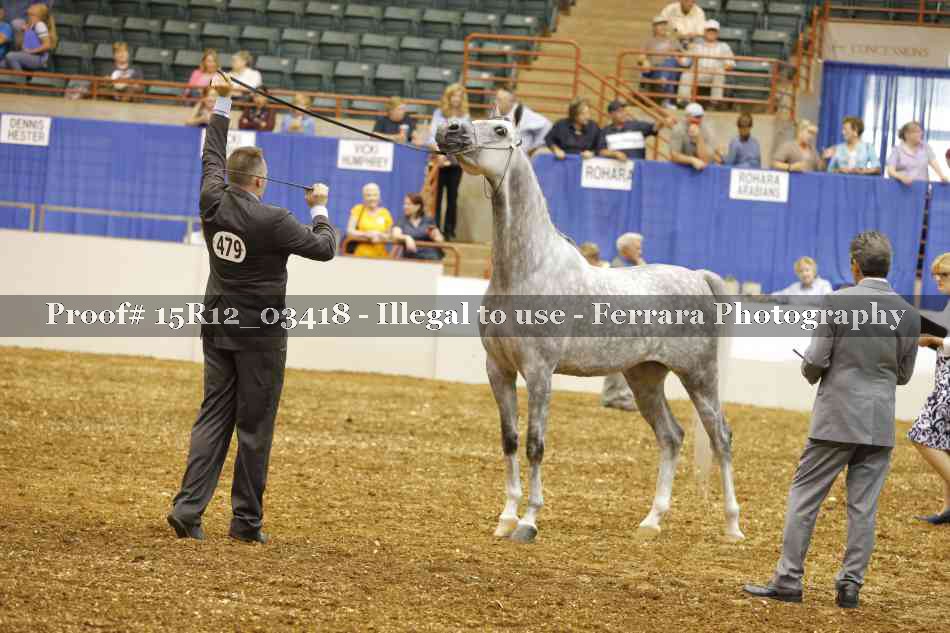 Proof 15R12_03418