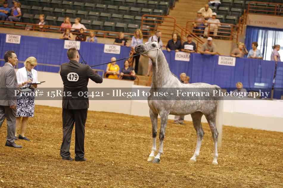 Proof 15R12_03421