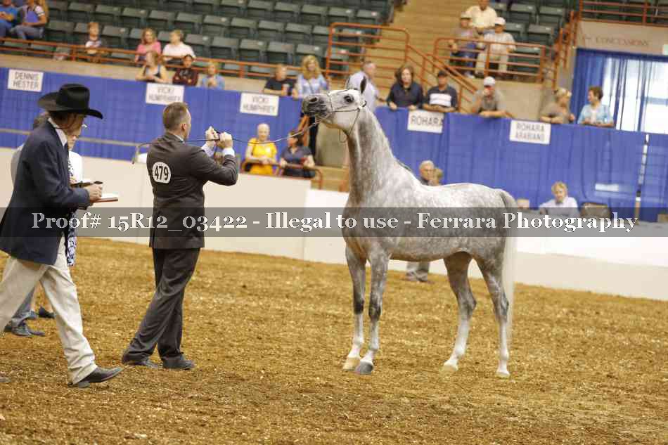 Proof 15R12_03422