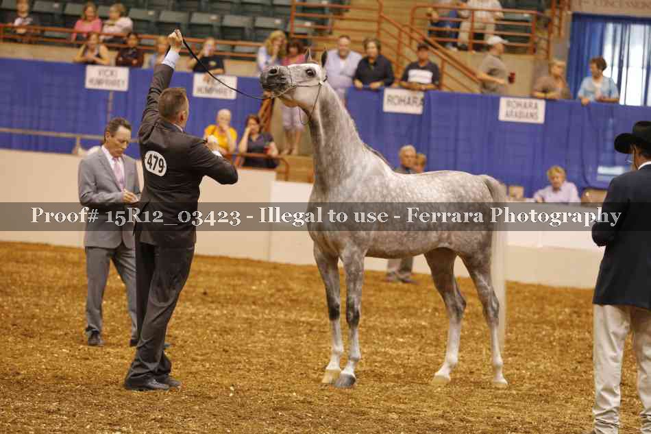 Proof 15R12_03423