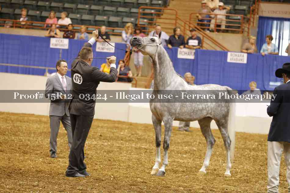 Proof 15R12_03424