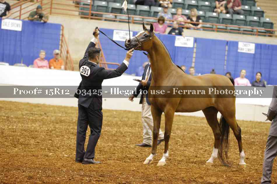 Proof 15R12_03425
