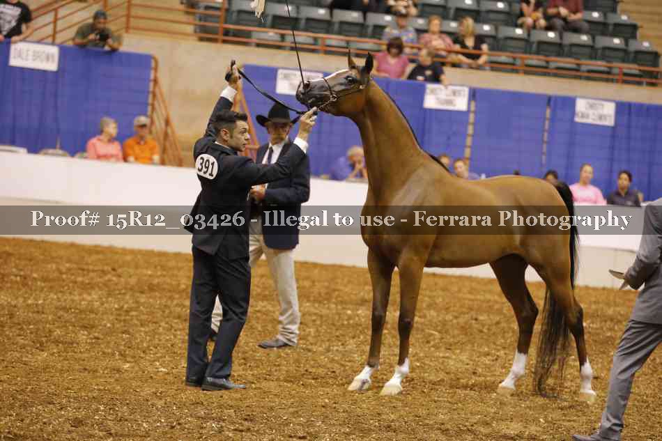 Proof 15R12_03426