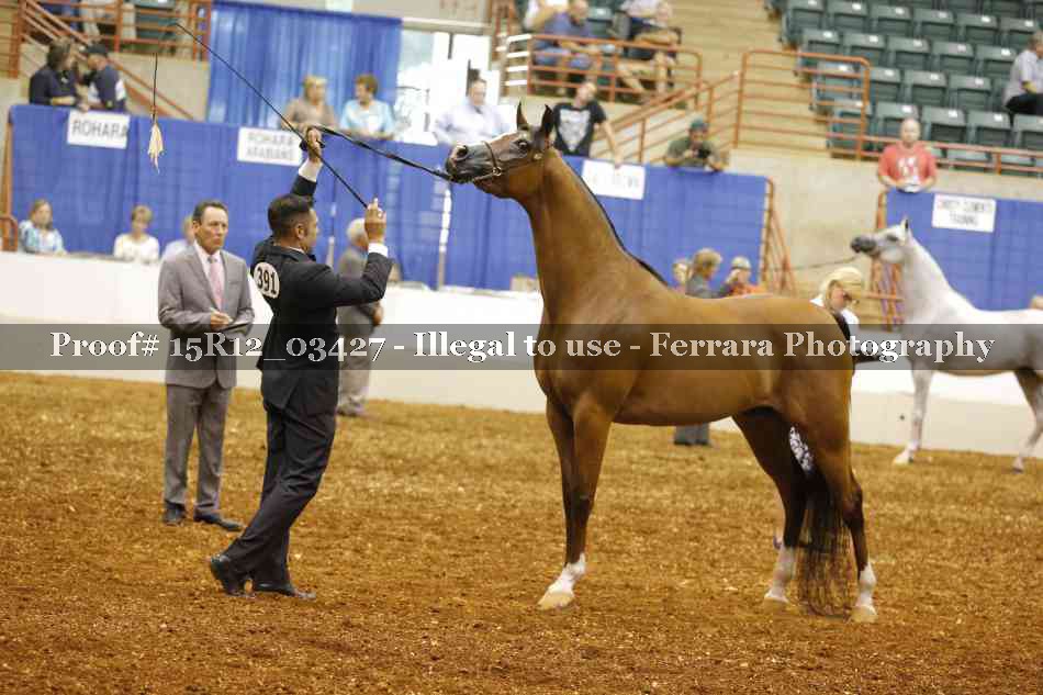 Proof 15R12_03427