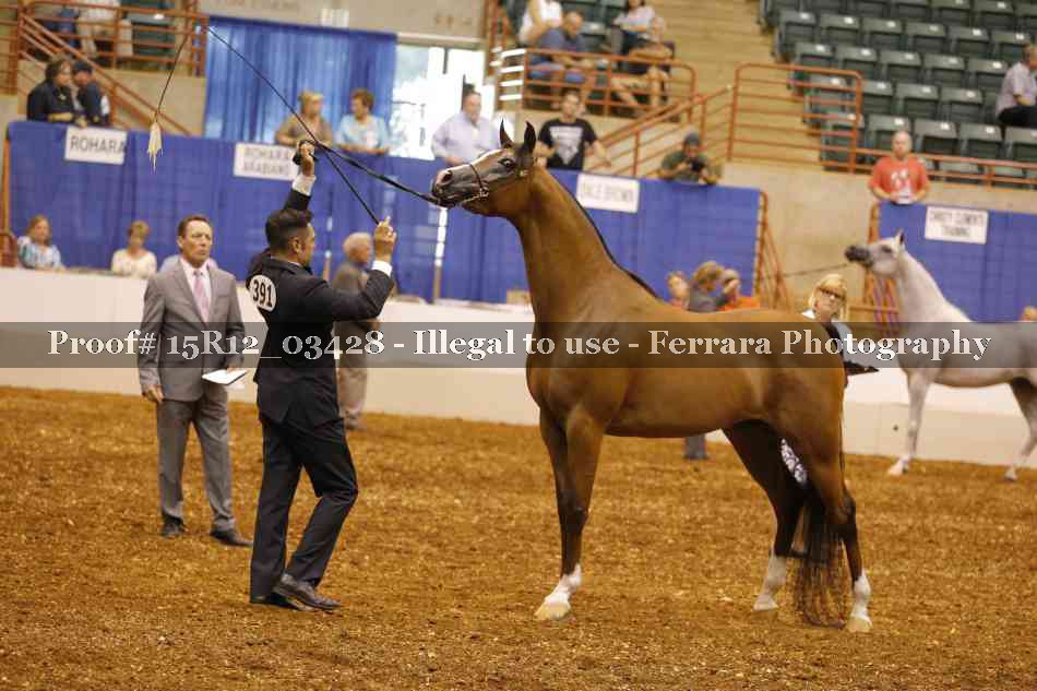Proof 15R12_03428