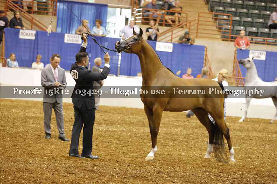 Proof 15R12_03429