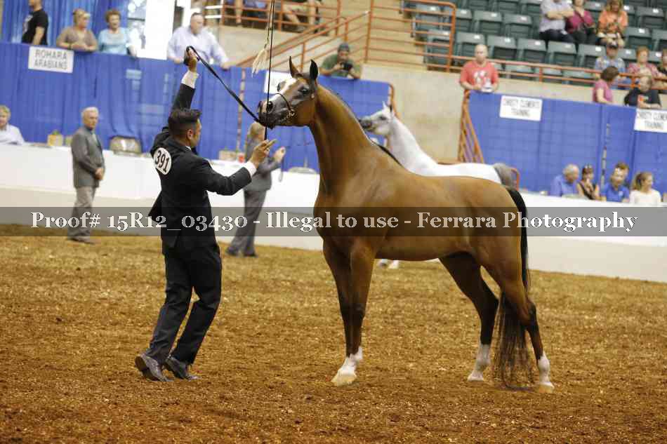 Proof 15R12_03430