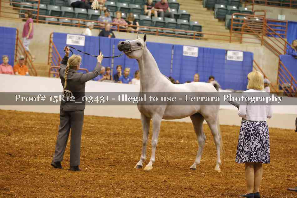 Proof 15R12_03431