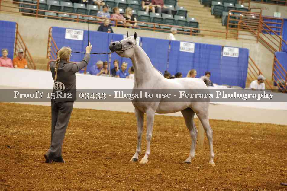 Proof 15R12_03433