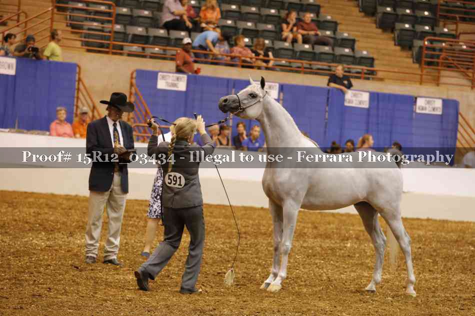 Proof 15R12_03434