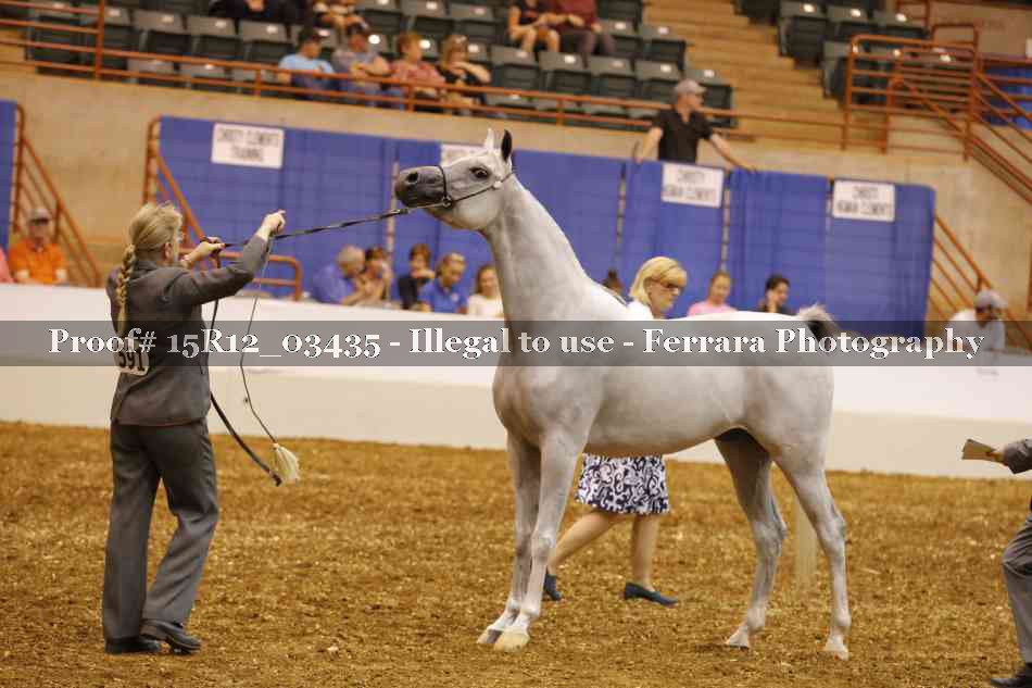 Proof 15R12_03435