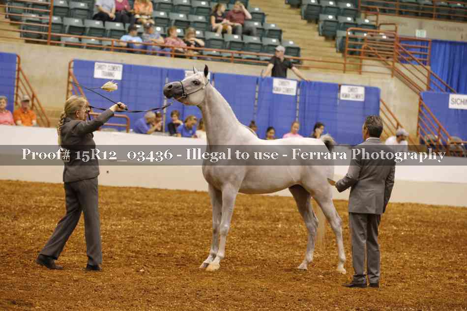Proof 15R12_03436