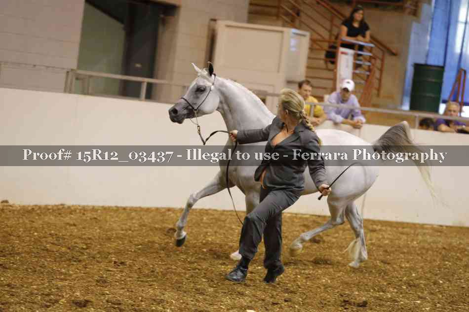 Proof 15R12_03437