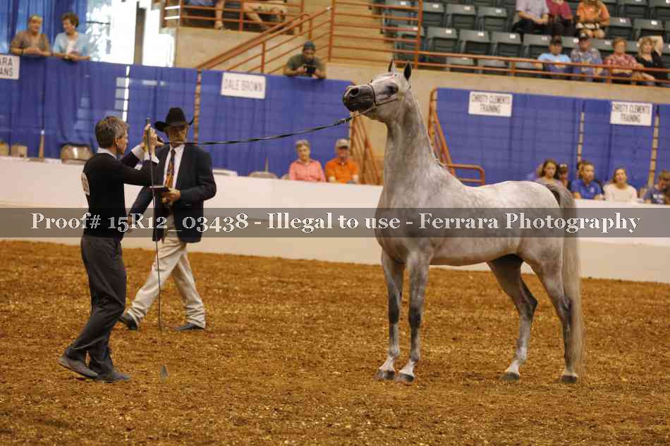 Proof 15R12_03438