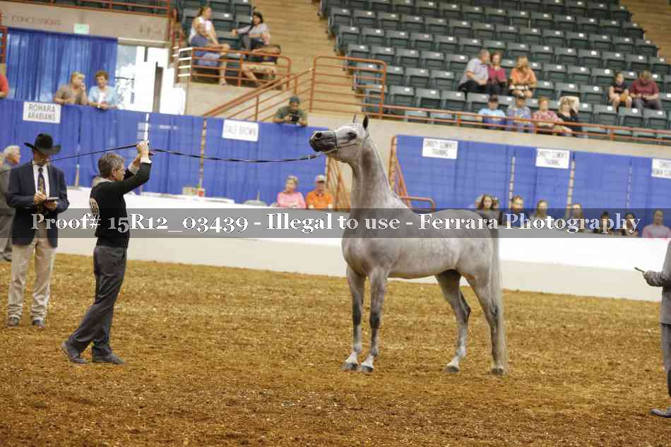 Proof 15R12_03439