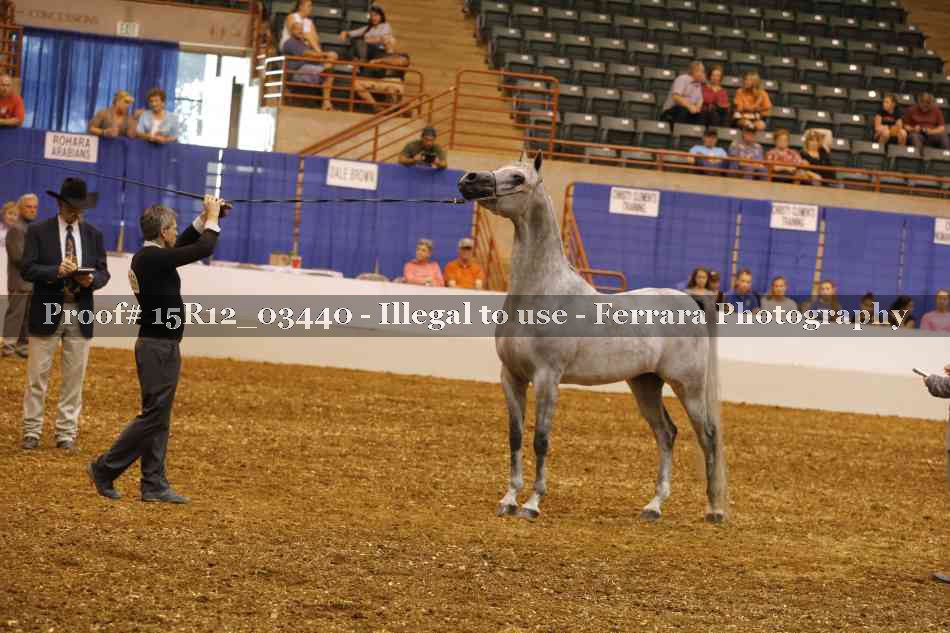 Proof 15R12_03440