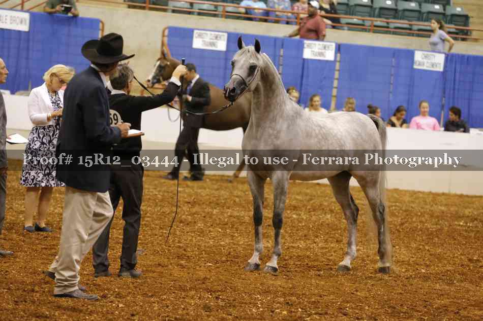 Proof 15R12_03444
