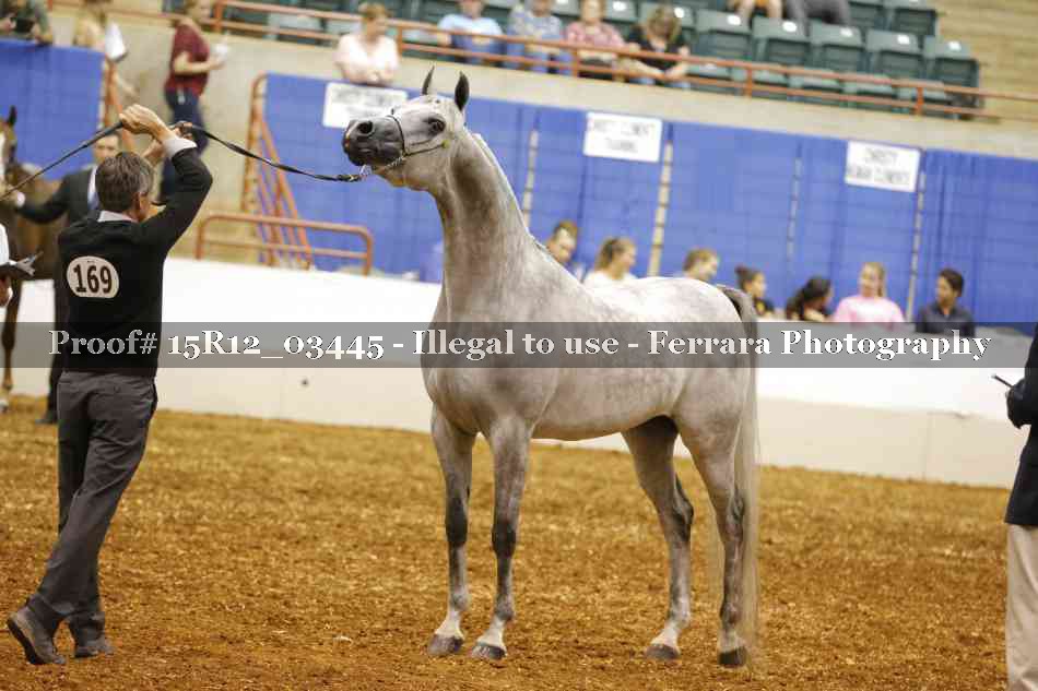 Proof 15R12_03445