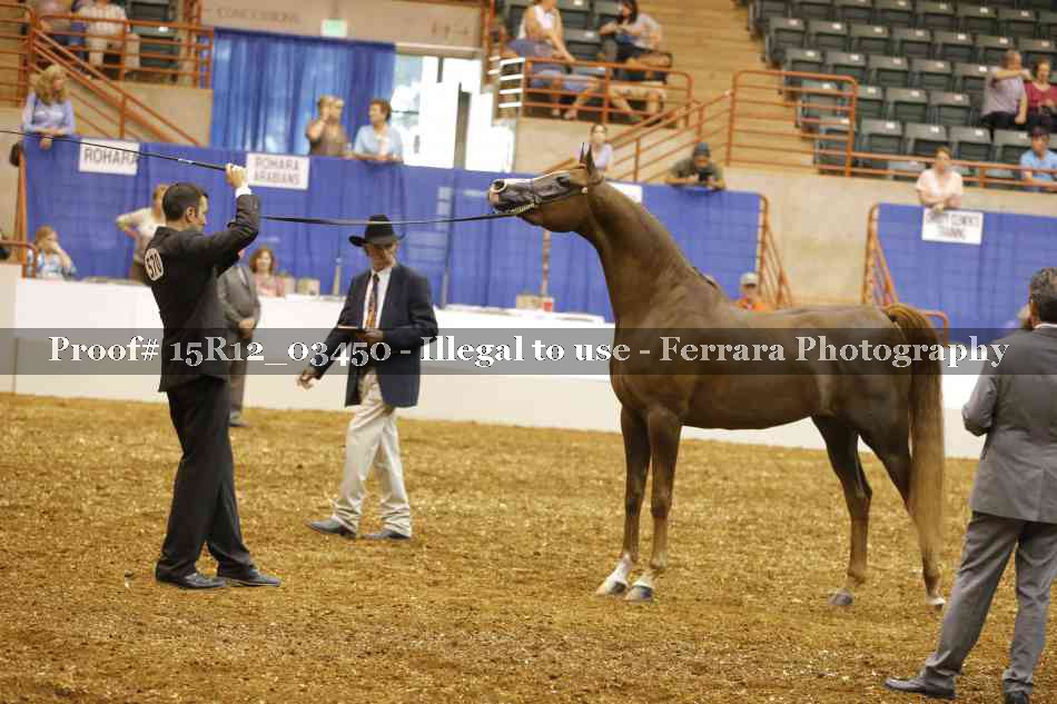 Proof 15R12_03450