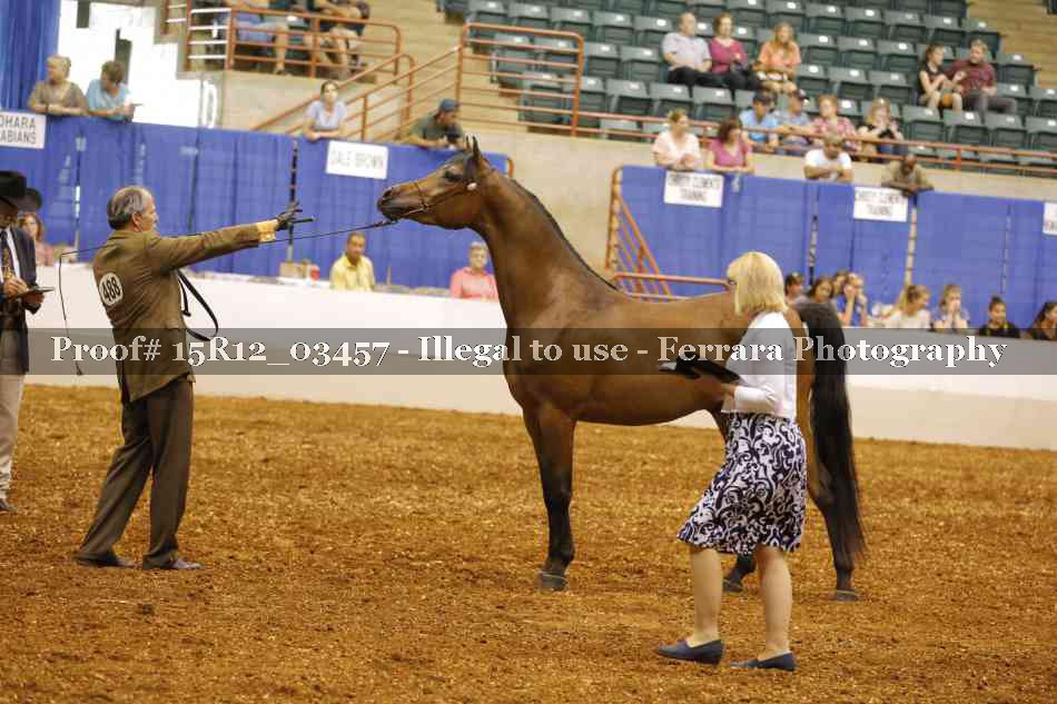 Proof 15R12_03457