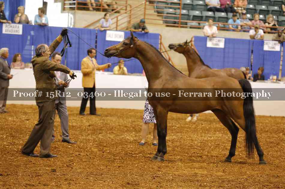 Proof 15R12_03460