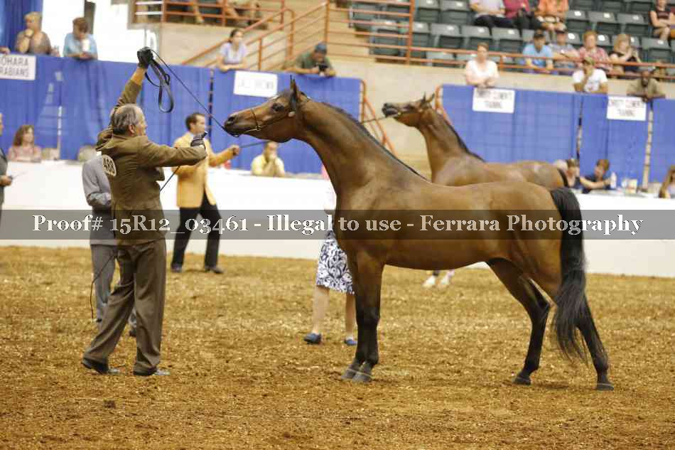 Proof 15R12_03461