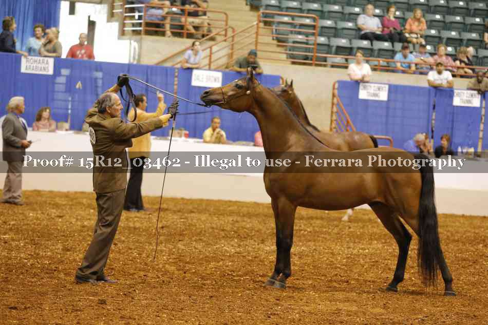 Proof 15R12_03462