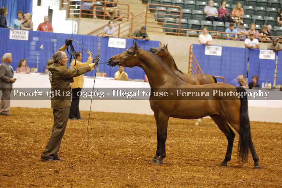 Proof 15R12_03463