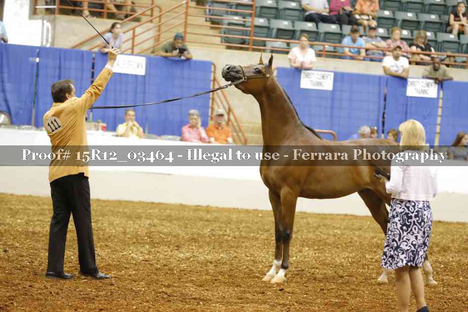 Proof 15R12_03464