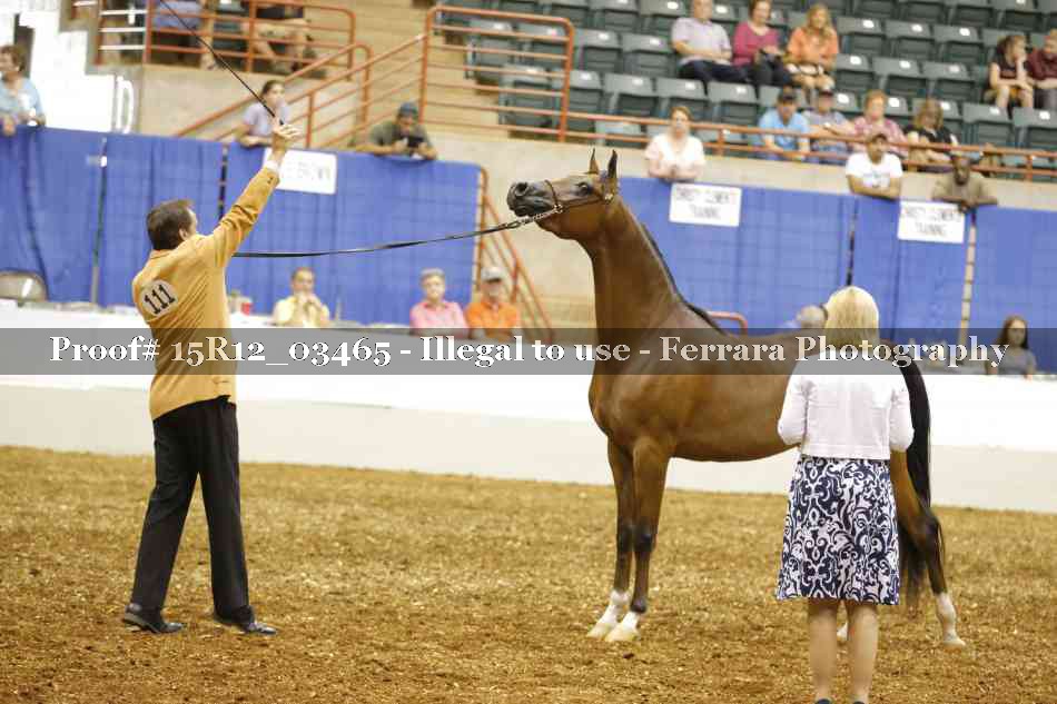 Proof 15R12_03465
